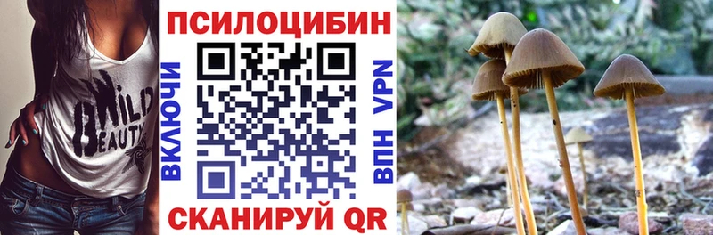 Галлюциногенные грибы Psilocybe  купить закладку  Донской 