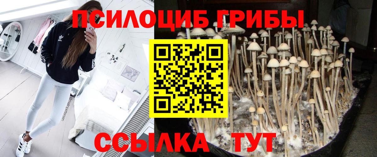 А ПВП Донской
