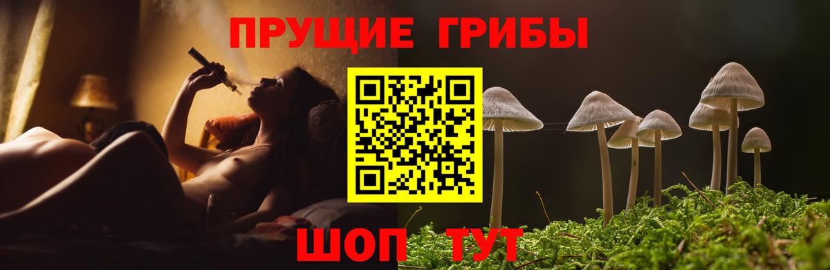 Псилоцибиновые грибы ЛСД Донской